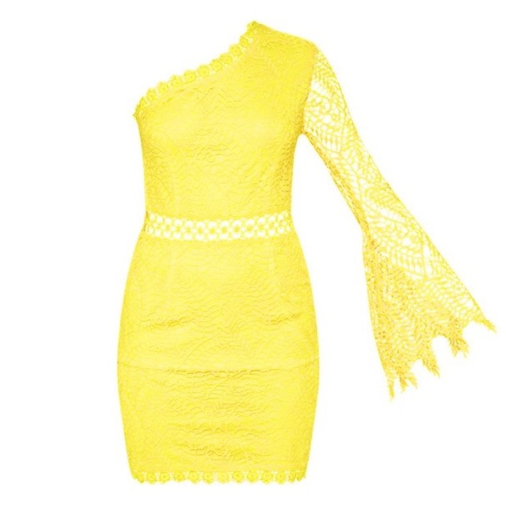 🆕NWT Pretty Little Thing lace bodycon dress